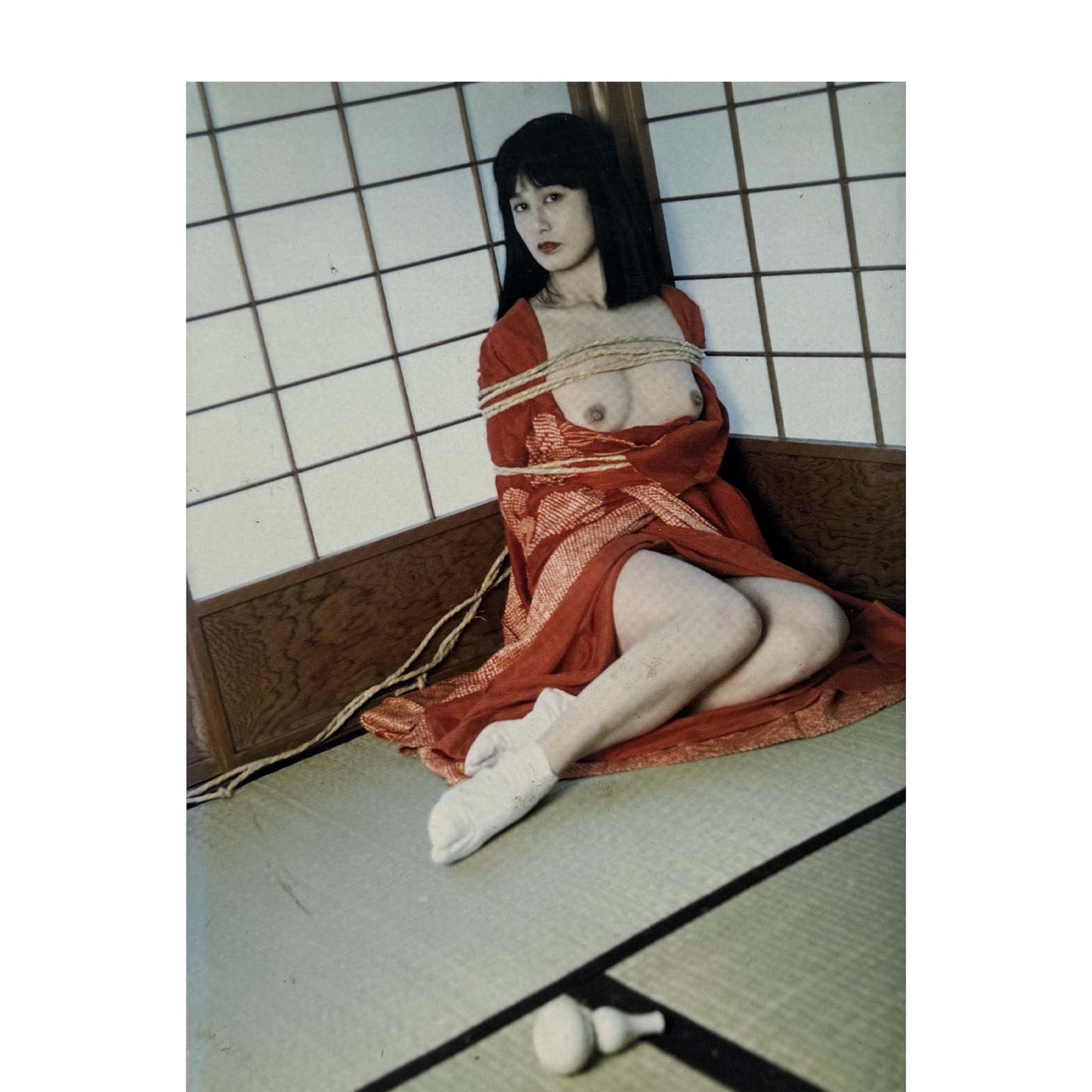 Tokyo Nostalgia- Nobuyoshi Araki